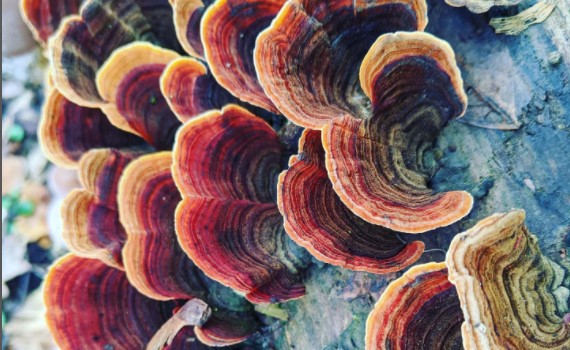 Asset Tracking System…Comment le tracking des objets du quotidien pourrait révolutionner la&nbsp;consommation.