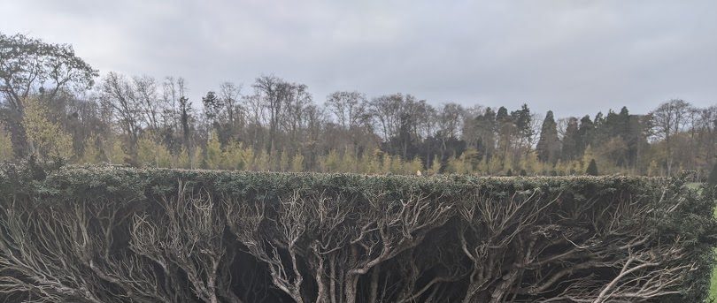 Changement climatique et Bulles de filtre : comment les « Climate Change Contrarians » peuvent gagner la bataille de l&rsquo;opinion…