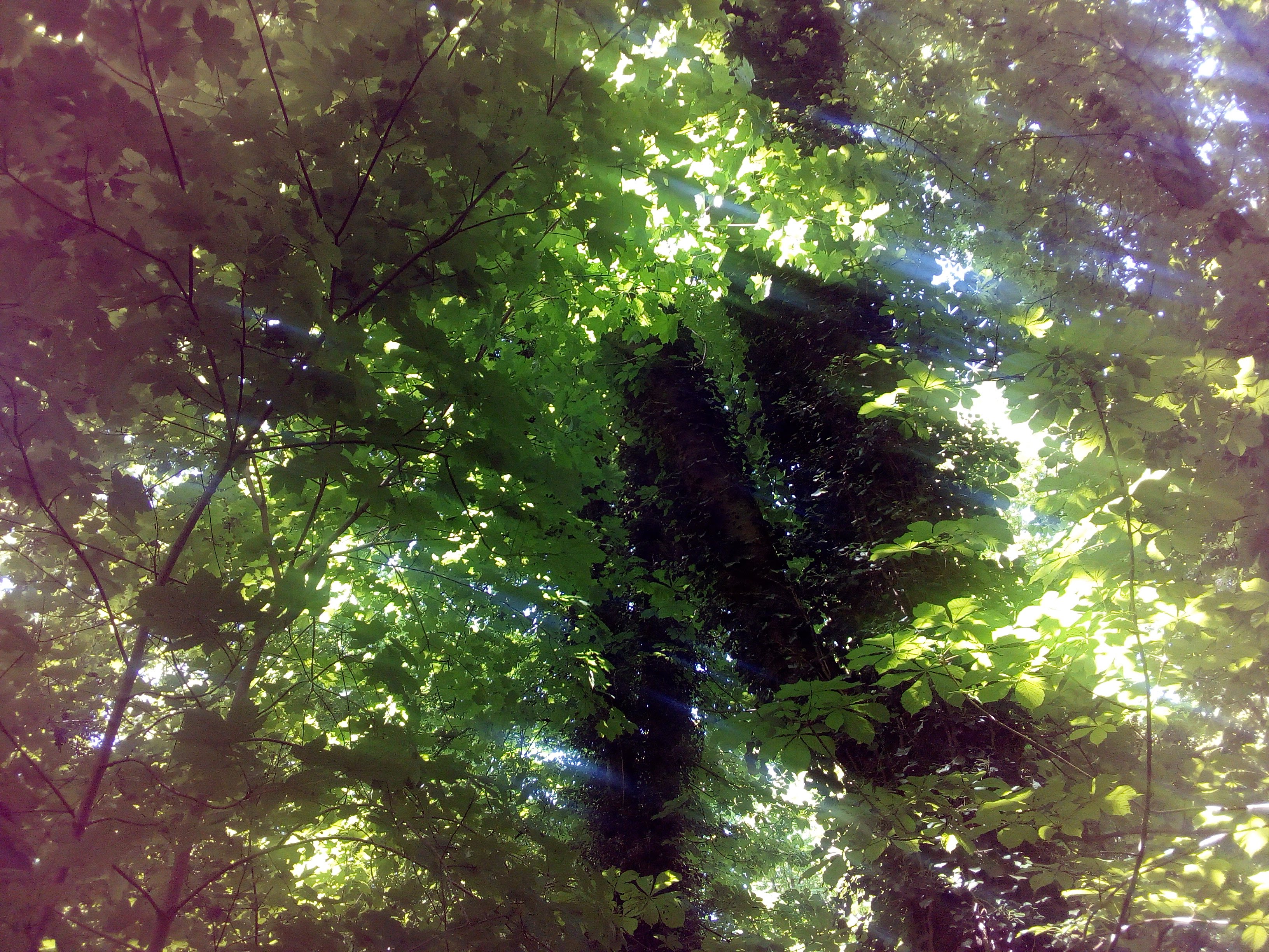 IMG_20180504_122629_1